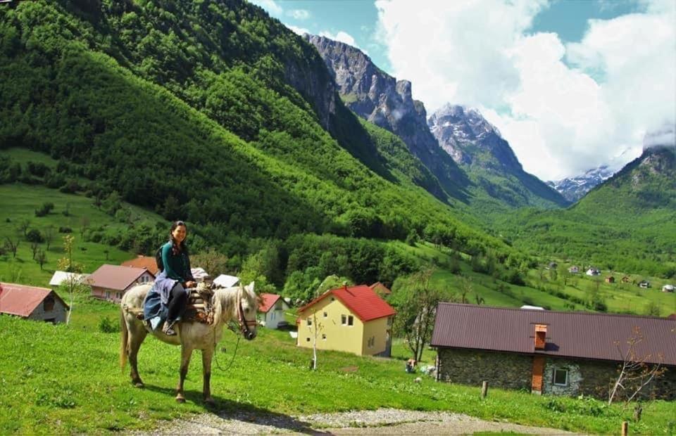 Dedushi Guesthouse &Wood Cabins-Camping Place Gusinje Esterno foto